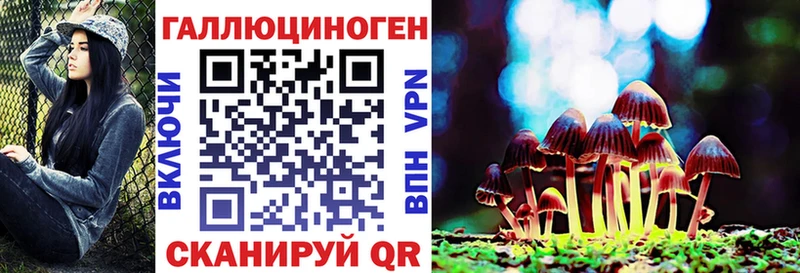 Купить  Пикалёво  Галлюциногенные грибы MAGIC MUSHROOMS 